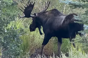 3465 W Cedar Dr, Park City, UT 84098 - Photo 41