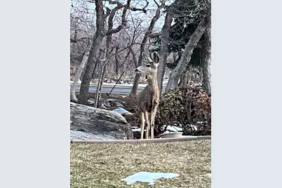 5210 Skyline Pkwy, Ogden, UT 84403 - Photo 49