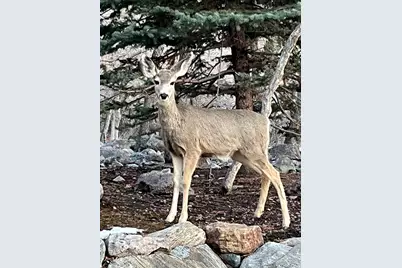 5210 Skyline Pkwy, Ogden, UT 84403 - Photo 47