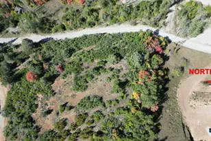 337 North Fork Rd Rd, Mount Pleasant, UT 84647 - Photo 7