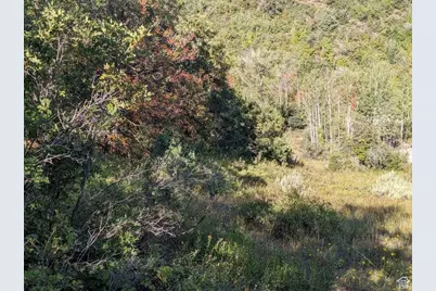 337 North Fork Rd Rd #337, Mount Pleasant, UT 84647 - Photo 13