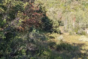 337 North Fork Rd Rd, Mount Pleasant, UT 84647 - Photo 13