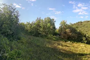 337 North Fork Rd Rd, Mount Pleasant, UT 84647 - Photo 17