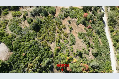 337 North Fork Rd Rd #337, Mount Pleasant, UT 84647 - Photo 5