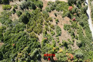 337 North Fork Rd Rd, Mount Pleasant, UT 84647 - Photo 5