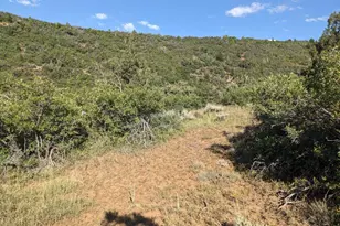 337 North Fork Rd Rd, Mount Pleasant, UT 84647 - Photo 15