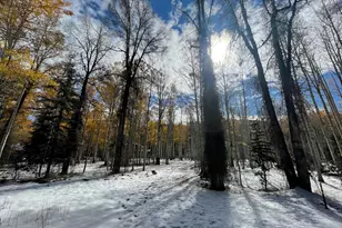 5529 Morehouse Ln, Oakley, UT 84055 - Photo 25