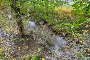 963 E Old English Rd S, Draper, UT 84020 - Photo 75