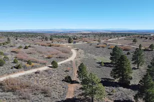 75 W Dude Ranch Rd, Monticello, UT 84535 - Photo 71