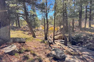 75 W Dude Ranch Rd, Monticello, UT 84535 - Photo 41