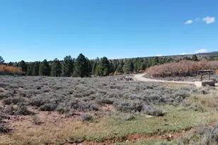 75 W Dude Ranch Rd, Monticello, UT 84535 - Photo 75