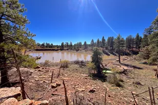 75 W Dude Ranch Rd, Monticello, UT 84535 - Photo 45