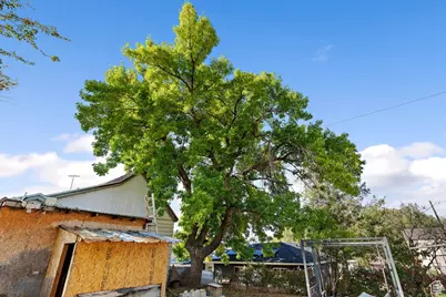 525 E 200 N, Pleasant Grove, UT 84062 - Photo 19