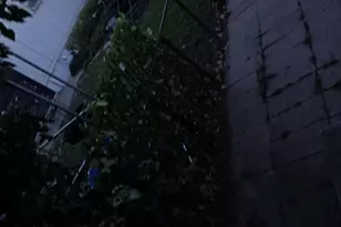 37 W Crawford S, Sandy, UT 84070 - Photo 9