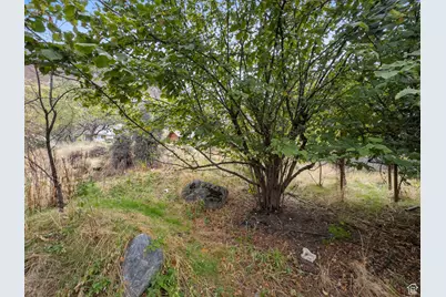 1205 N Old Willow Ln, Provo, UT 84604 - Photo 9