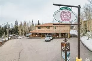 223 Hunter Rd, Brian Head, UT 84719 - Photo 31