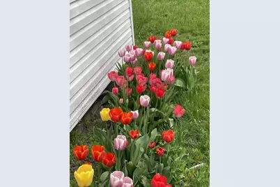 2424 S D Ave, Ogden, UT 84401 - Photo 17