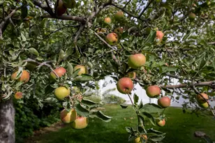 1050 S Grandview Dr E, Providence, UT 84332 - Photo 93