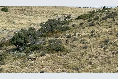 46 Kent Canyon Rd #46, Wanship, UT 84017 - Photo 9