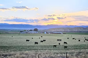 390 N Madsen Ln, Gunnison, UT 84634 - Photo 43