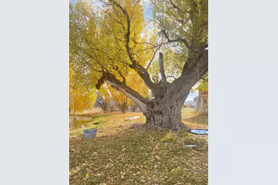 6890 E 17250 N, Mount Pleasant, UT 84647 - Photo 13