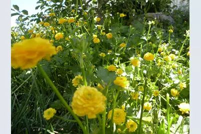 2894 N Viewcrest Cir, North Logan, UT 84341 - Photo 55