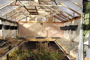 4145 Madison Ave, South Ogden, UT 84403 - Photo 21