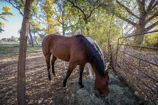 2927 S East Bench Rd, Moab, UT 84532 - Photo 17