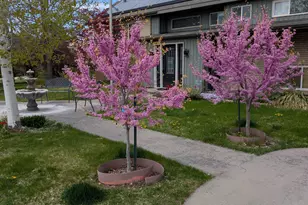 1515 E Gentile St, Layton, UT 84040 - Photo 41