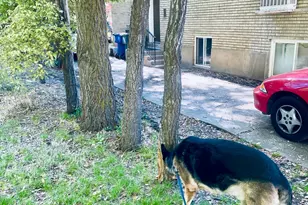 2711 Liberty Ave, Ogden, UT 84403 - Photo 49