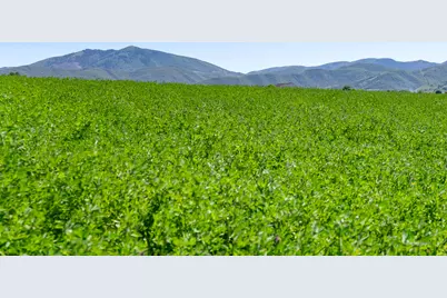 2650 W 6400 S #3, Wellsville, UT 84339 - Photo 15