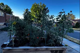 6460 S Blaine Dr W, Murray, UT 84107 - Photo 31