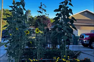 6460 S Blaine Dr W, Murray, UT 84107 - Photo 29