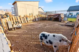 111 E 100 N, Goshen, UT 84633 - Photo 43