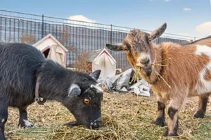 111 E 100 N, Goshen, UT 84633 - Photo 41