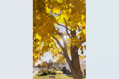 184 Woodland Dr, Orem, UT 84097 - Photo 31