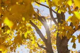 184 Woodland Dr, Orem, UT 84097 - Photo 31