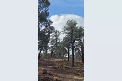 95 S Wray Mesa Rd #10, La Sal, UT 84530 - Photo 7