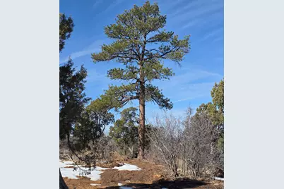 95 S Wray Mesa Rd #10, La Sal, UT 84530 - Photo 3