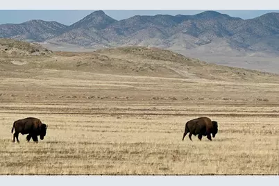 [Address not provided], Dugway, UT 84022 - Photo 11