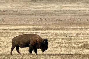 [Address not provided], Dugway, UT 84022 - Photo 19