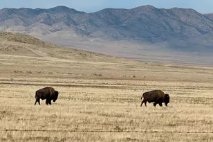 [Address not provided], Dugway, UT 84022 - Photo 13