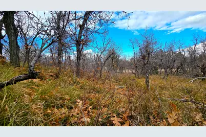 138 Phase 3 Section A #138, Mount Pleasant, UT 84647 - Photo 1