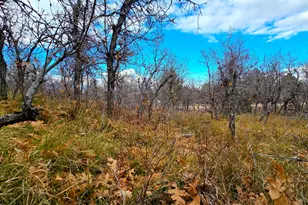 138 Phase 3 Section A, Mount Pleasant, UT 84647 - Photo 1