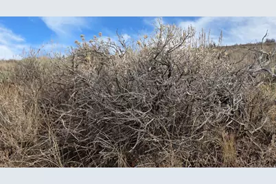 1000 N Laketown Canyon Rd E, Laketown, UT 84038 - Photo 31