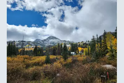 8101 S Millicentview Ln, Brighton, UT 84121 - Photo 41