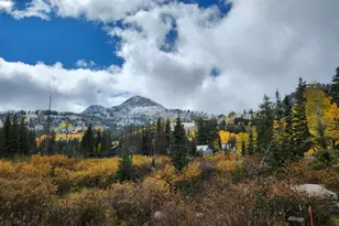 8101 S Millicentview Ln, Brighton, UT 84121 - Photo 41