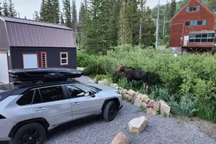 8101 S Millicentview Ln, Brighton, UT 84121 - Photo 55