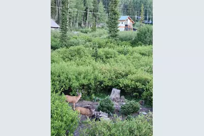 8101 S Millicentview Ln, Brighton, UT 84121 - Photo 51