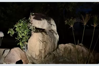 397 W 4125 N, Pleasant View, UT 84414 - Photo 61